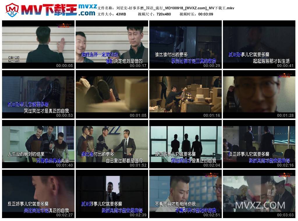 刘星宏-好事多磨_国语_流行_MD100918